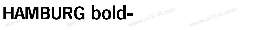 HAMBURG bold字体转换